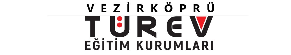 Vezirköprü Türev Eğitim Kurumları Logosu